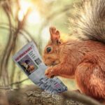 Ein Eichhörnchen mit einer Zeitung in der Hand. Es symbolisiert auf lustige Art einen Leser. Der Beitrag zeigt Bloggern und Website-Betreibern, wie sie mehr Reichweite für ihre Inhalte bekommen.